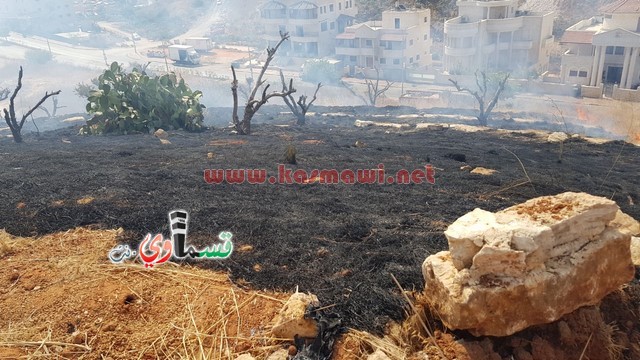 كفر قاسم -فيديو:اندلاع حريق في منتزة عبد الكريم قاسم وطواقم الاطفاء تسيطر على الحريق